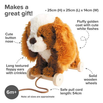 Little Bird Told Me Uk - Peanut Pup Pull Along Toy