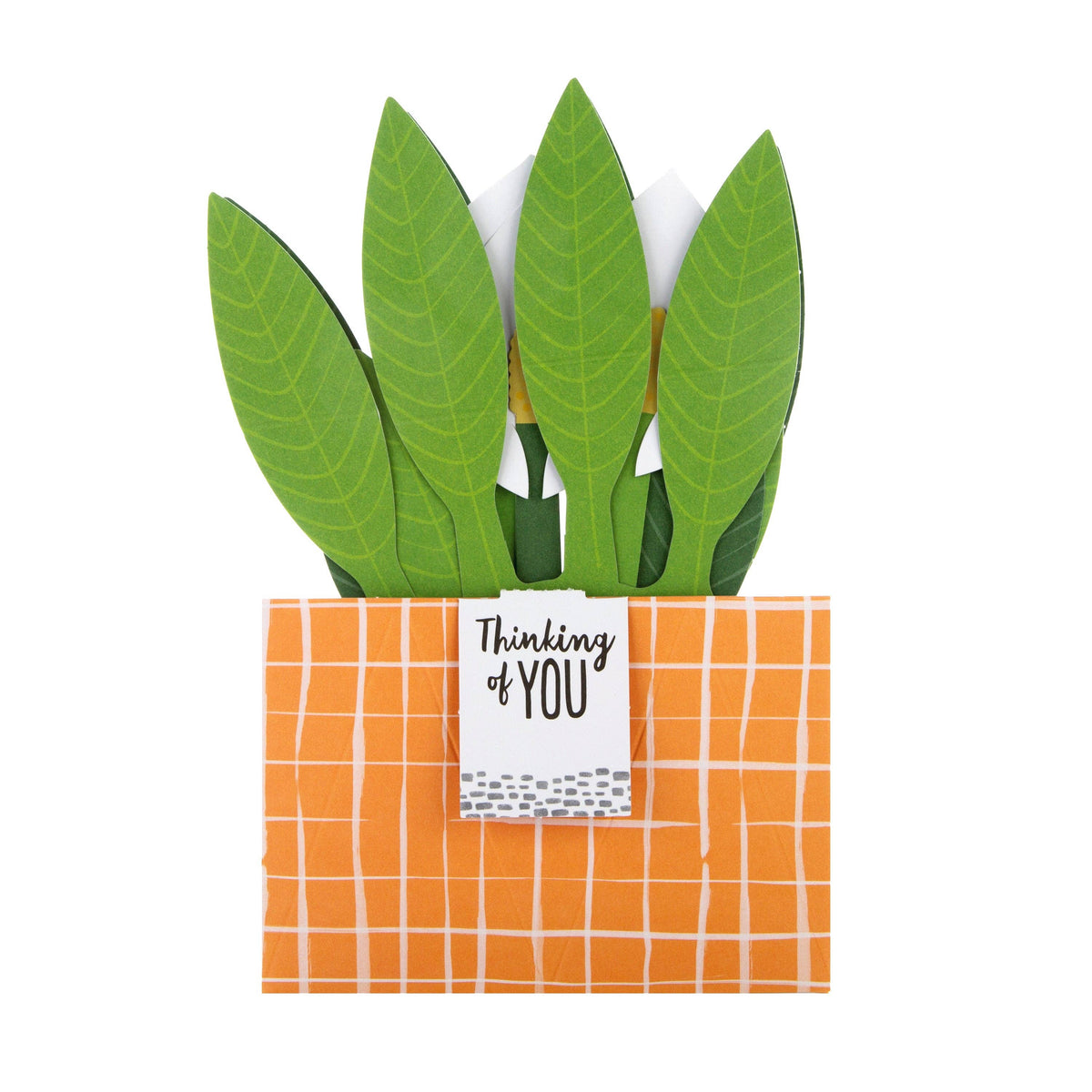 Hallmark - Pop-up Plant Card - Peace Lily Design