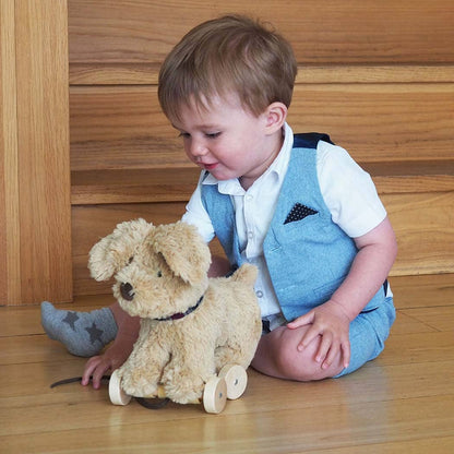 Little Bird Told Me Uk - Dexter Dog Pull Along Toy