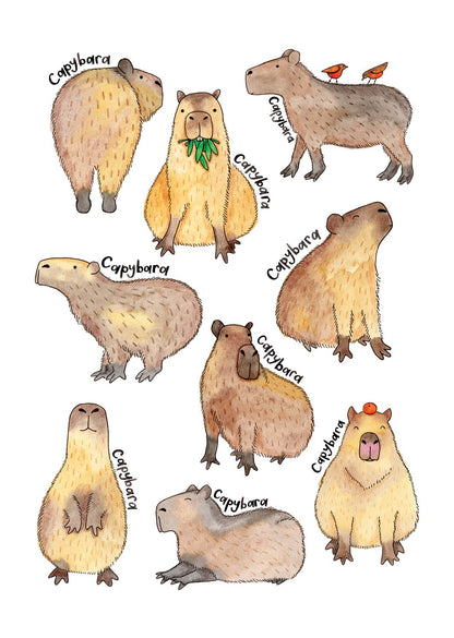 Nova & Me - Capybara A4 Print