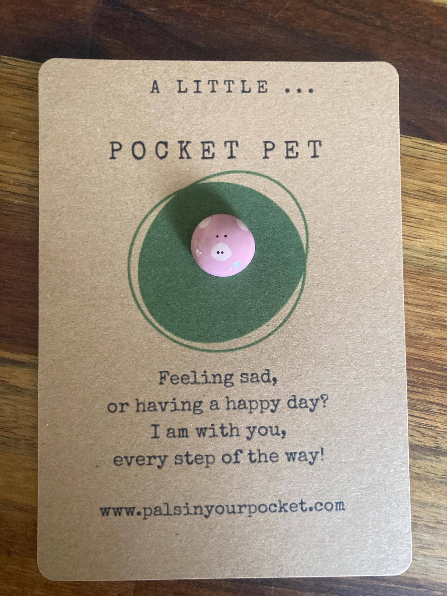 Pals in your Pocket - Handmade Anxiety Relief Pocket Pet Worry Rock