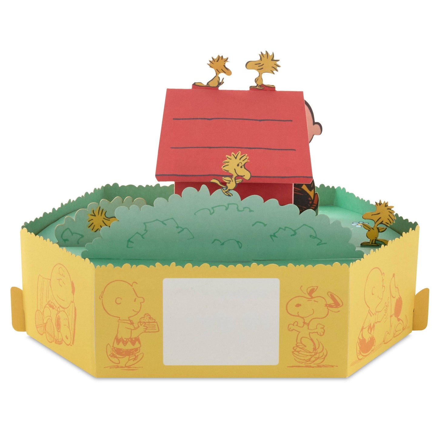 Hallmark - PEANUTS™️ Paper Wonder Collection 3D Pop-Up Birthday Card
