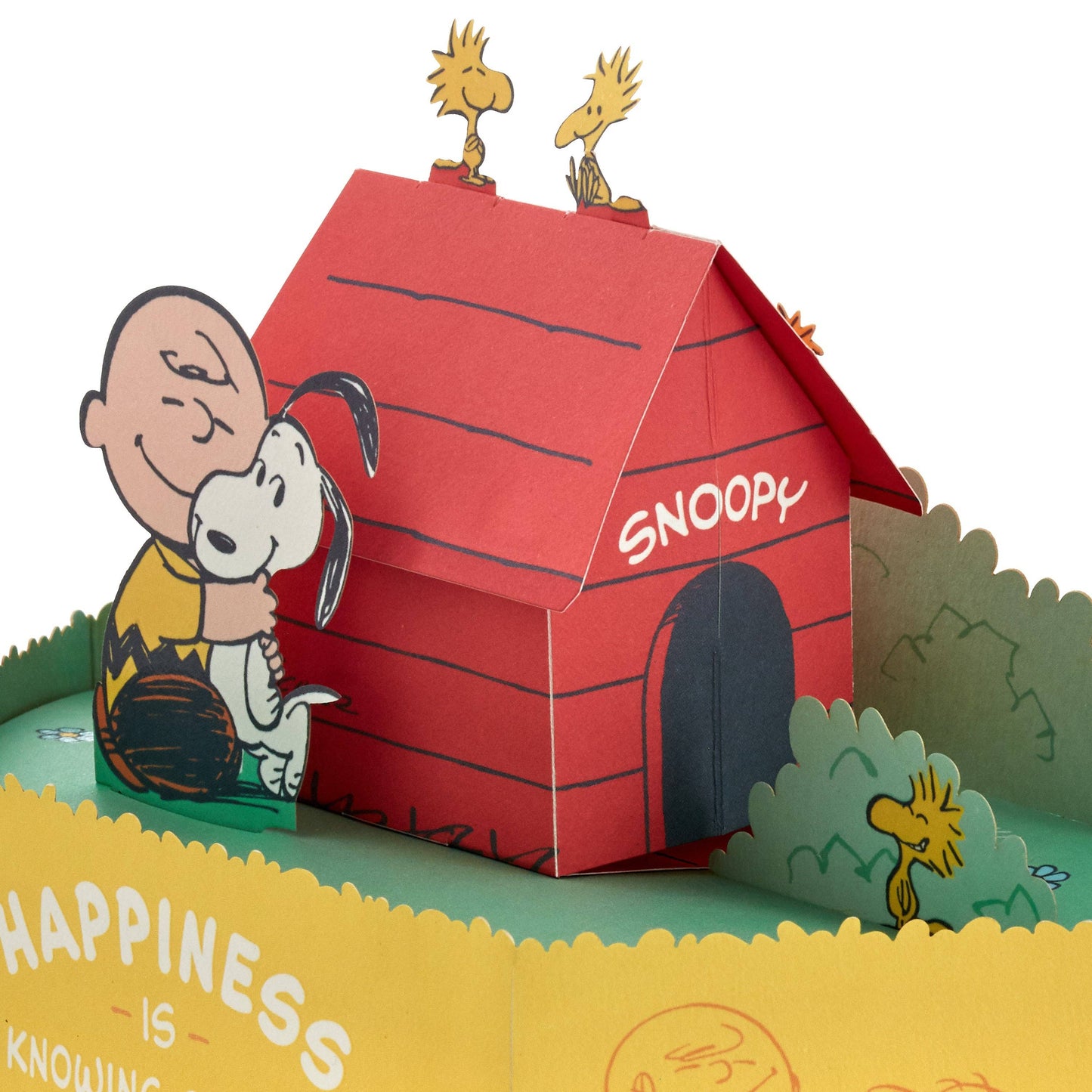Hallmark - PEANUTS™️ Paper Wonder Collection 3D Pop-Up Birthday Card