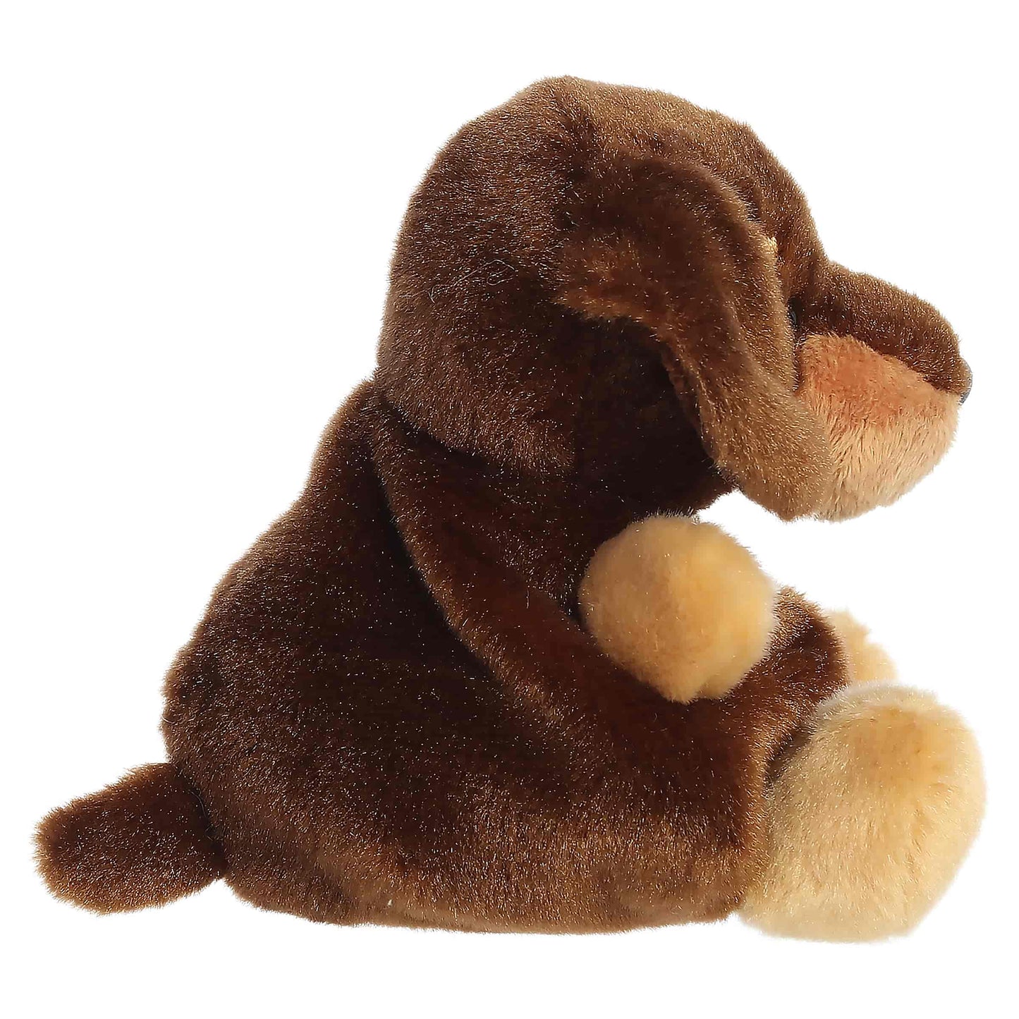 Kelley and Company - 5" Plush Houdini Dachshund Palm Pal