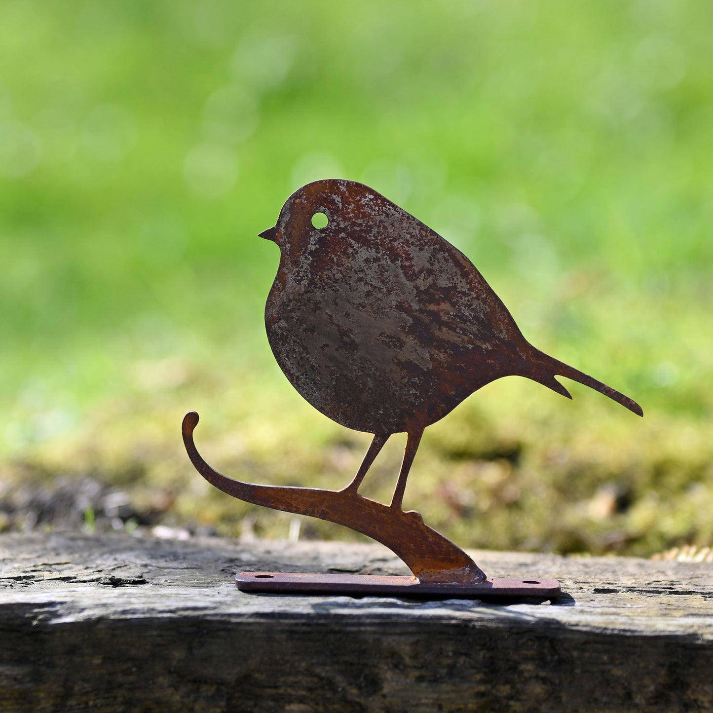 NATURE SILHOUETTE ROBIN ON BRANCH