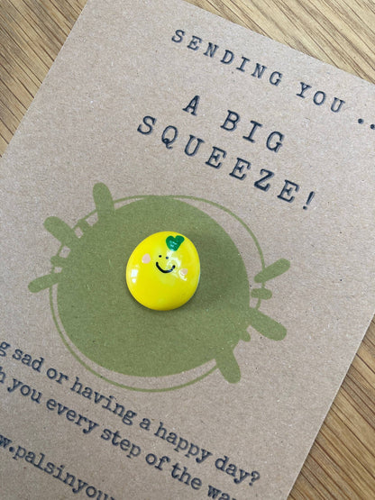 Pals in your Pocket - Long Distance Lemon Pebble Hug & Care Box