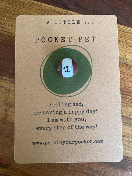 Pals in your Pocket - Handmade Anxiety Relief Pocket Pet Worry Rock