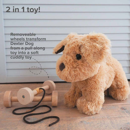 Little Bird Told Me Uk - Dexter Dog Pull Along Toy