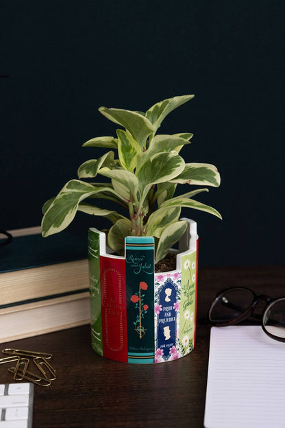 Steel Mill & Co UK - Desk Pot, Classic Books
